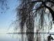 starnberger lake