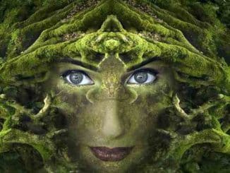 gesicht frau wurzeln fantasy