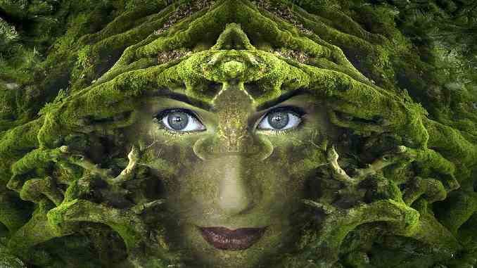 gesicht frau wurzeln fantasy
