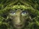 gesicht frau wurzeln fantasy