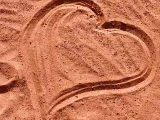 herz sand tracks in the sand