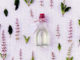 kraeuter flasche tuch
