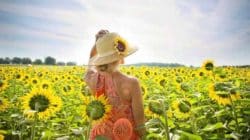 Im Hier und Jetzt leben Diesseits frau sonnenblumen feld woman