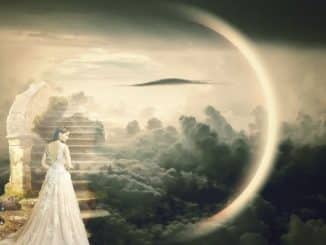frau treppe dreams