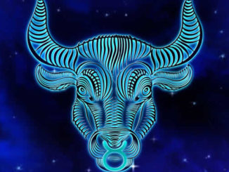 sternzeichen stier