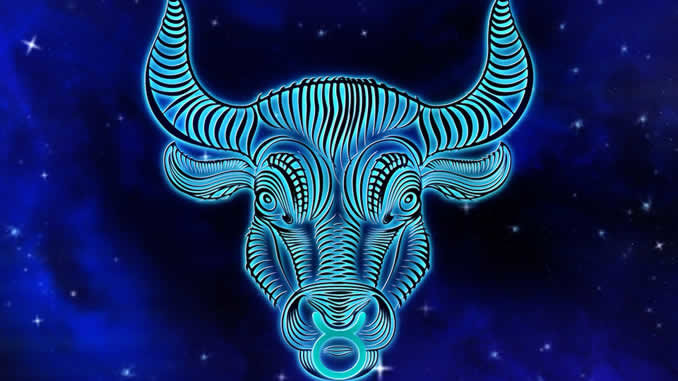 sternzeichen stier