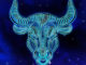 sternzeichen stier