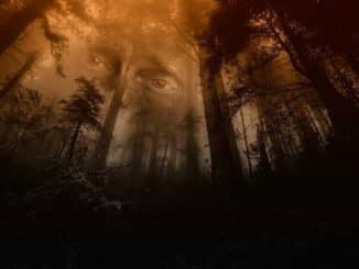 wald gesicht ghost