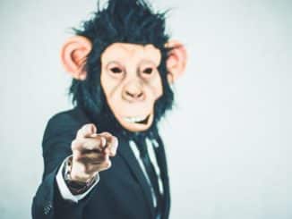 affe maske anzug ape