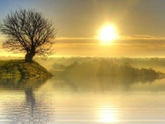 baum see sonne sunset