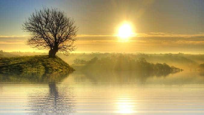 baum see sonne sunset