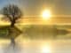 baum see sonne sunset