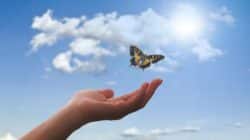 himmel schmetterling hand