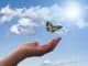 himmel schmetterling hand