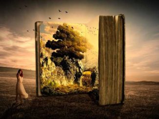 frau weisheit buch a book