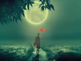 mann weg mond tree