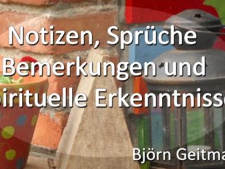 Notizen Sprüche Bemerkungen Erkenntnisse 01 Buch Björn Geitmann