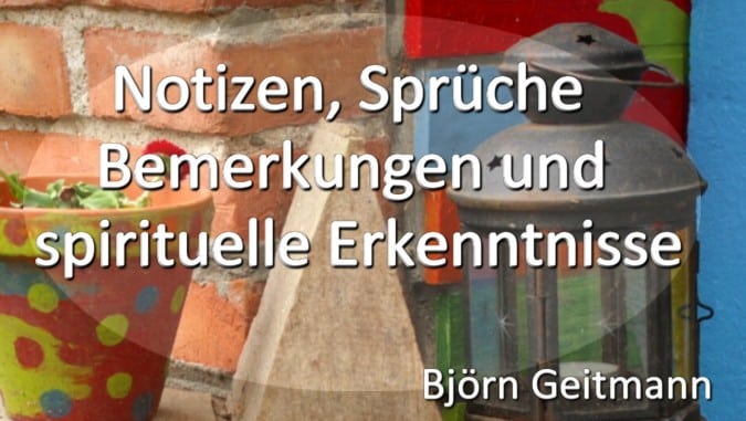 Notizen Sprüche Bemerkungen Erkenntnisse 01 Buch Björn Geitmann