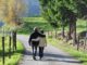 langjährige Partnerschaft Beziehung Ehe Liebe in-love