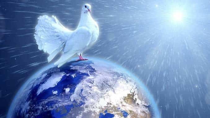 taube welt peace