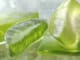 aloe vera scheiben