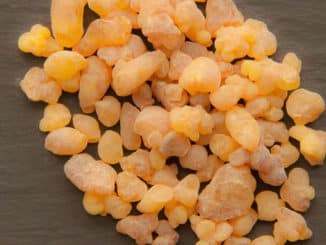 Naturheilkunde empfiehlt Weihrauch: getrocknete Harzstücke