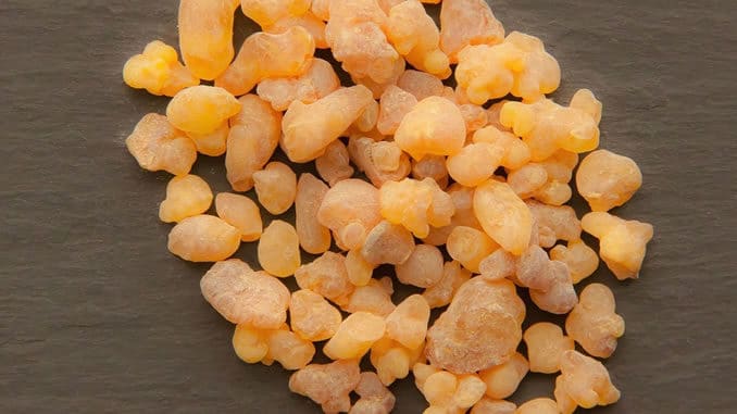 Naturheilkunde empfiehlt Weihrauch: getrocknete Harzstücke