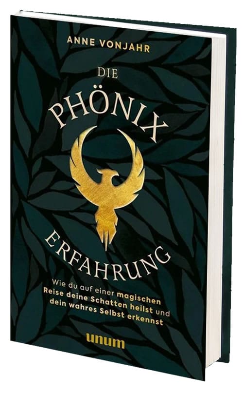 cover phoenixerfahrung