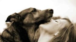 frau hund schmusen dog