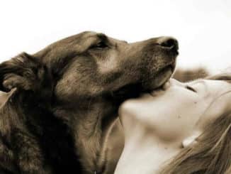 frau hund schmusen dog