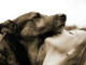 frau hund schmusen dog