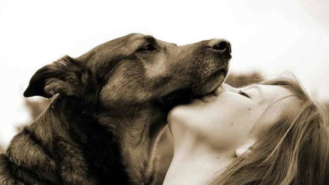 frau hund schmusen dog