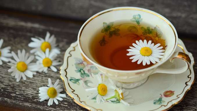 tee tasse cup