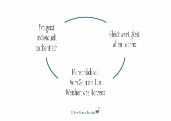 grafik freigeist zander