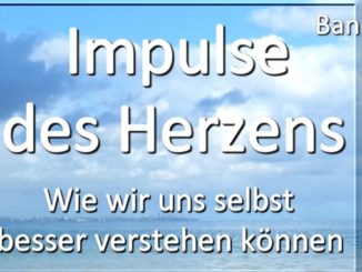 Impulse des Herzens Band 14 Spirit Online