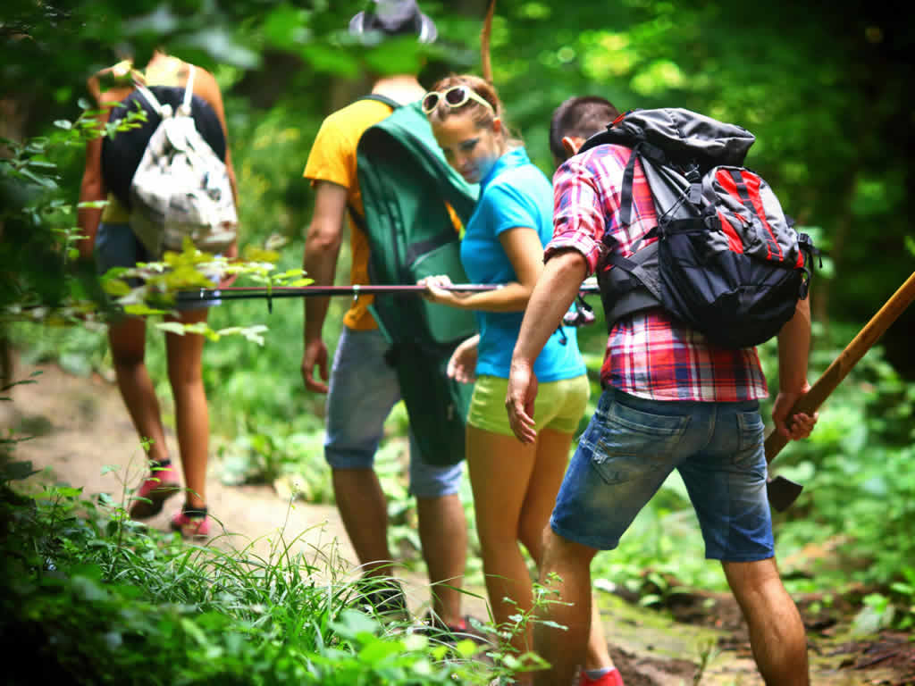 reisen mensch gruppe wald