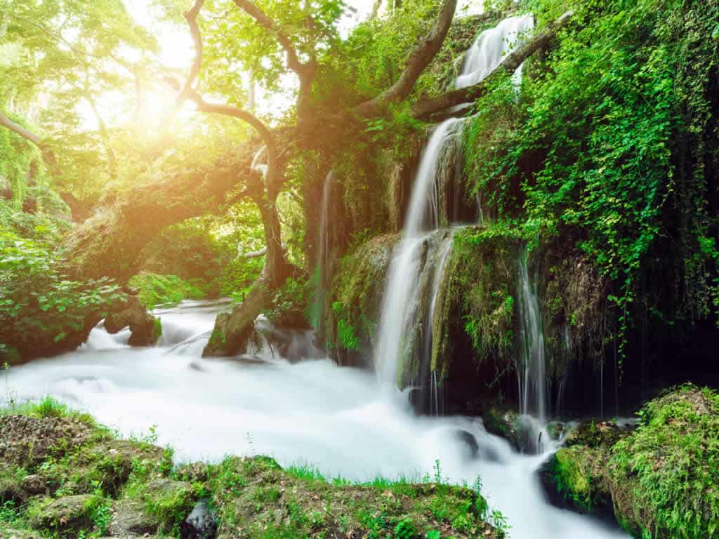reisen natur fluss sonne wald