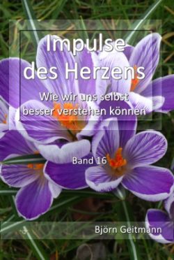 Impulse des Herzens Band 16