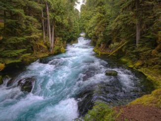 fluss des lebens mckenzie