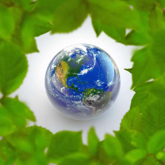 planet erde blaetter