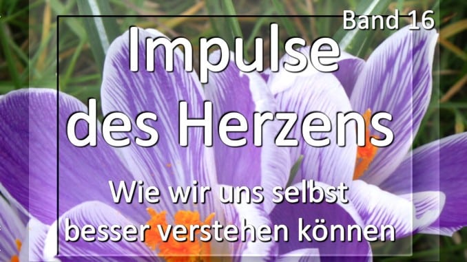 Impulse des Herzens Band 16
