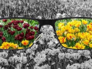 brille natur bewusstsein