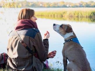 frau hund see natur