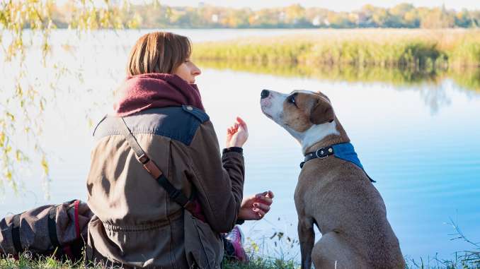 frau hund see natur