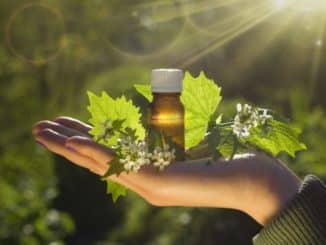 hand natur bachblueten