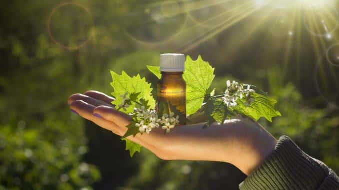 hand natur bachblueten