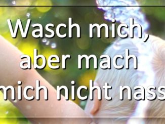 Buch Wasch mich aber mach mich nicht nass