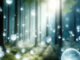 Fantasiedarstellung von Orbs als Lichtkugeln in einem Wald – KI-Illustration