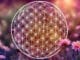 Blume des Lebens vor Blumenhintergrund