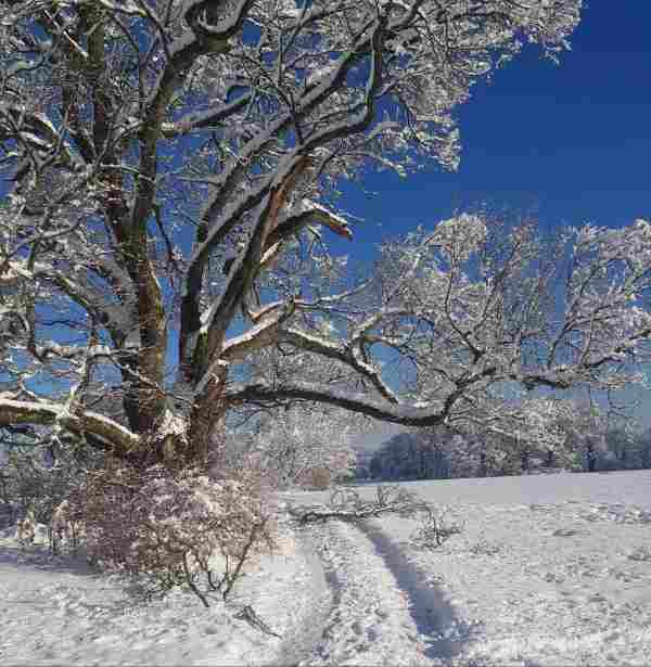 Im Licht östlicher Weisheit WINTER Bernried 3. Dezember 2023